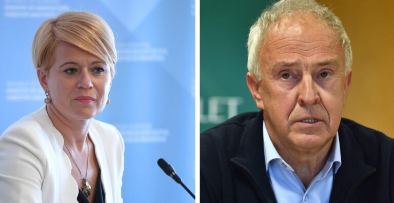 ORGANIZIRAN SKONSTRUIRAN KONSTRUKT – ŽAGANJA MINISTRICE PIVEC