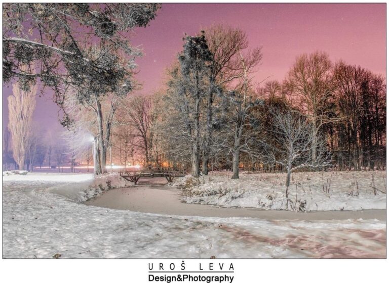 UROŠ LEVA: FOTOGRAFSKE SIMFONIJE