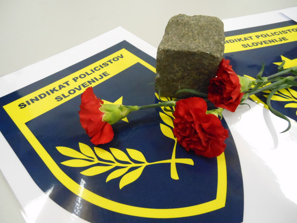 JUNAŠKA AKCIJA: RDEČ NAGELJ NA MARIBORSKIH VSTAJAH LETA 2012/2013