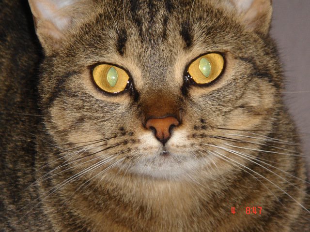 “PONOČI ME JE HODILA GLEDAT, ALI DIHAM”