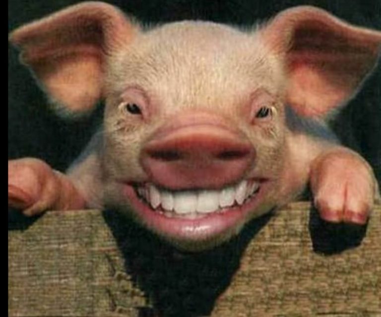 “100 JANŠISTOV OBEST, 100 USTRELIT, 100 UTOPITI, 1.000 IZGNAT, 10.000 KASTRIRAT!”